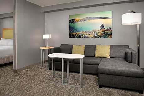 King Suite with Sofa Bed and Roll-in Shower - Mobility and Hearing Accessible