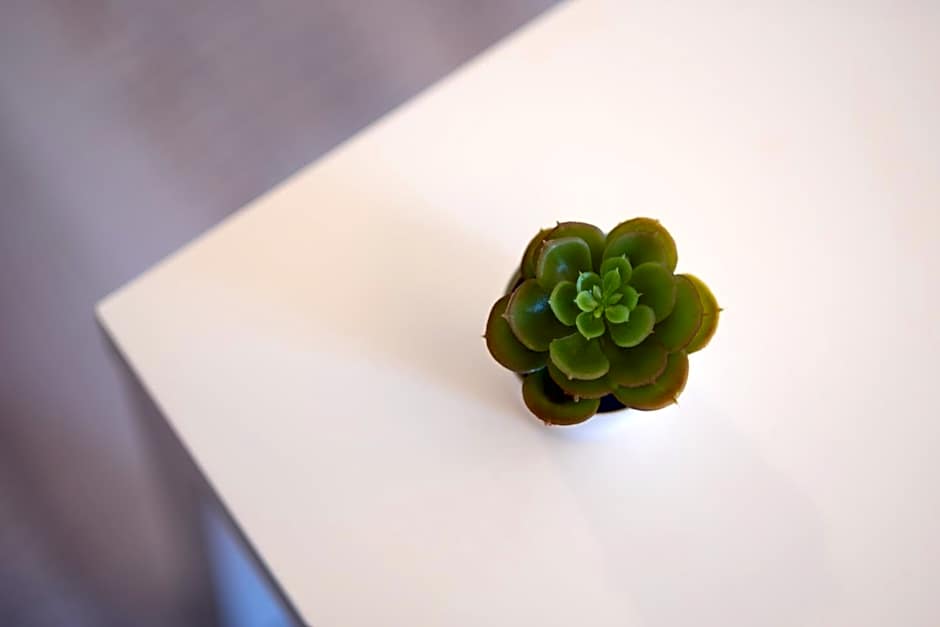 Terinikos Sunny Garden Hotel & Junior Suites New Renovation 2025