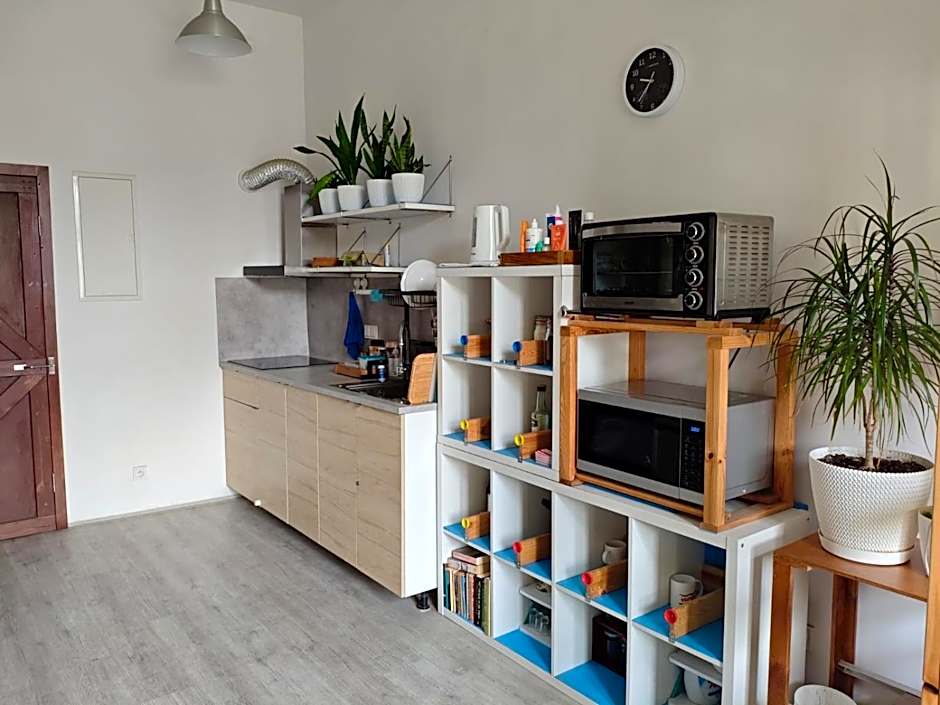 Evergreen Hostel Krakow
