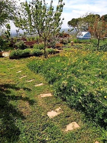 B&B La Gallinella Rossa