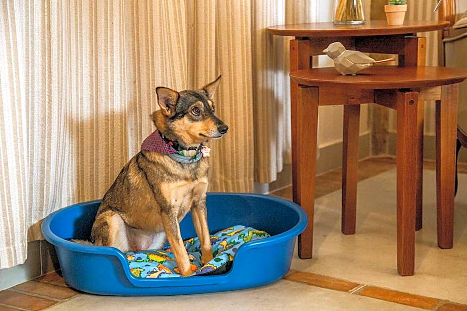 Cabanas Portal da Serra