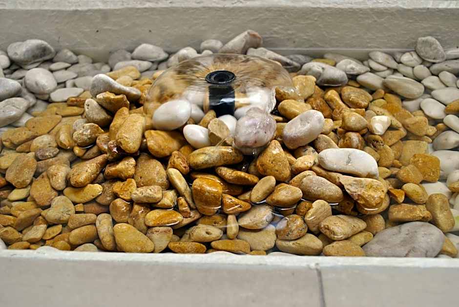 Hotel La Torre San Francisco