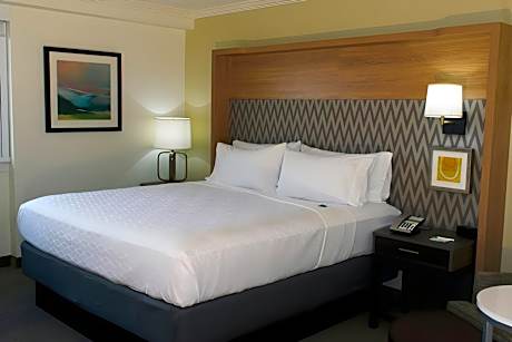 69	1 Queen Bed Standard Mobil Access Tub
