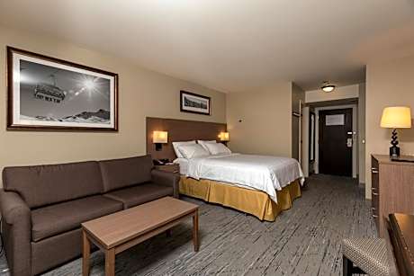 Queen room with sofa Bed and living area