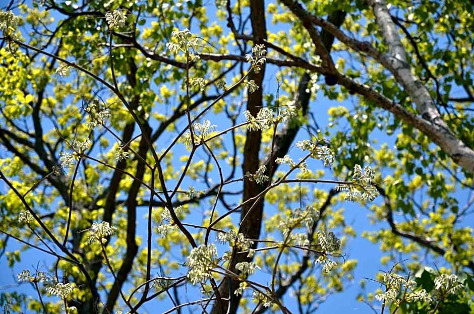 ARtINn 極寒藝術伝染装置