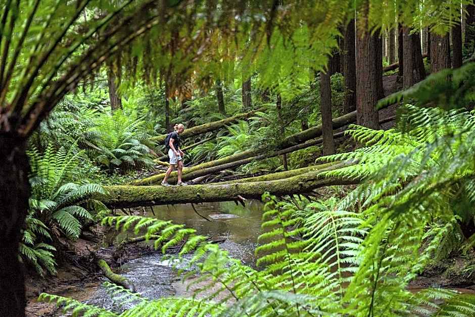 Apollo Bay Eco YHA