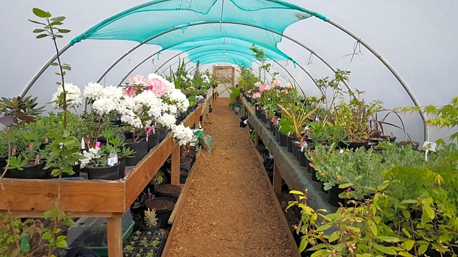 Wendron Plant Nursery Lettings