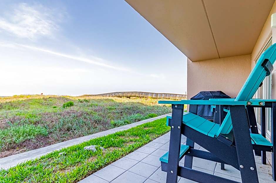 Seagull's Landing By The Ocean