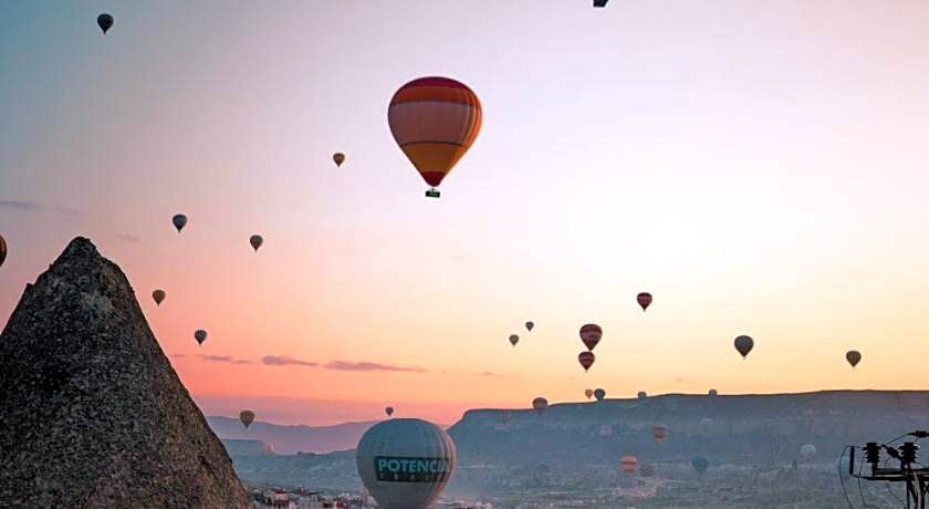 Antique Terrace Suites