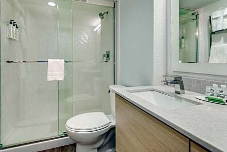 Suite, 1 Bedroom (1 Queen Bed and 1 Double Sofa Bed)