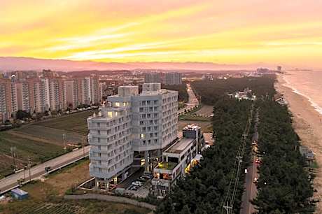 Gangneung PINEART Label