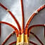 Old Town Haston