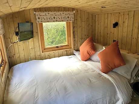 Hut-King-Ensuite-Woodland view-Black Bear Hut