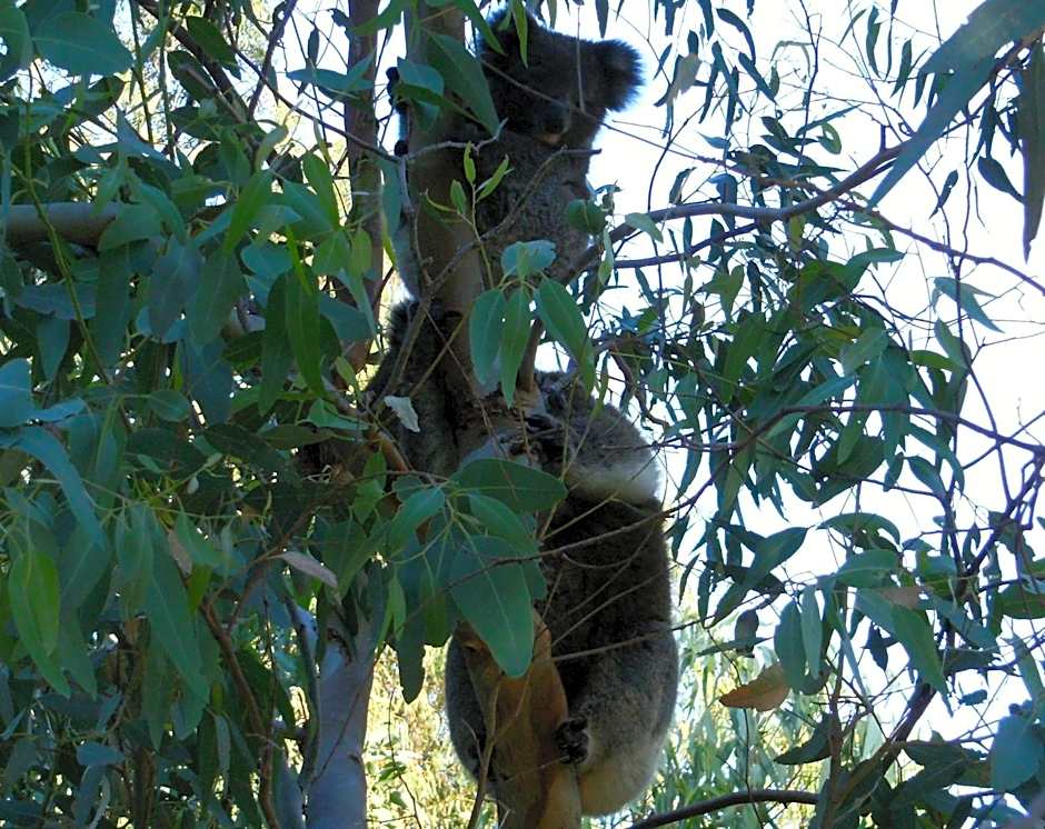 Friends at McLaren Vale
