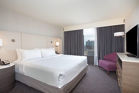Suite King Bed Non Smoking