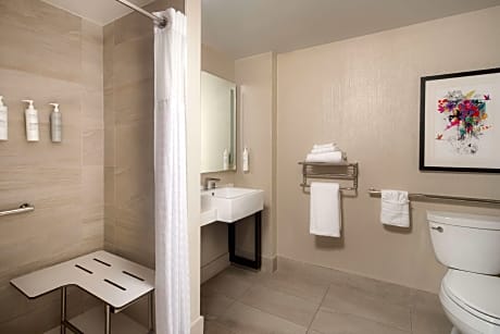 1 King Bed Room Mobility Accessible With 3X3 Shower