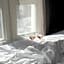 Boutique Hotel SP34