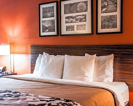 1 King Bed, Nonsmoking
