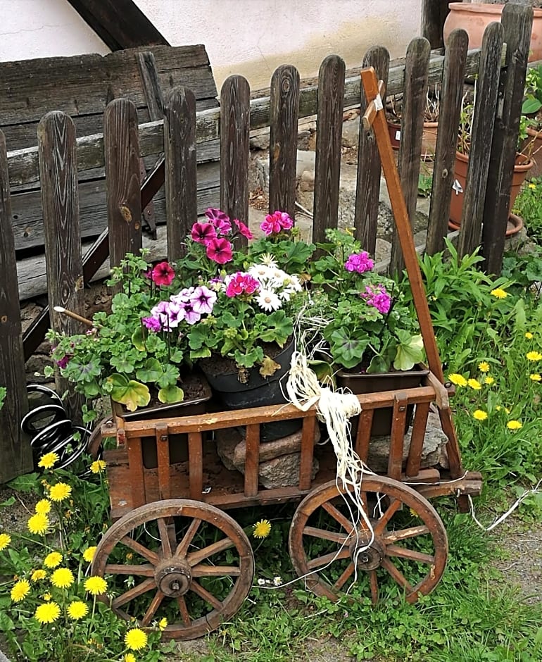 Elbhangzimmer Dresden