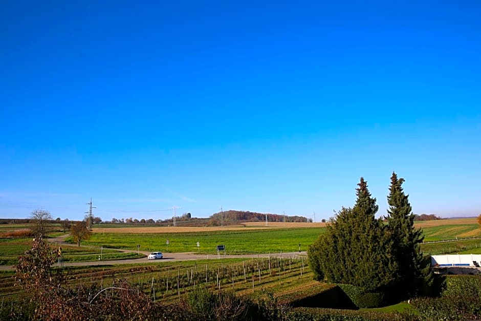 Hotel Garni Alte Post