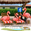 Royal Flamingo Villas