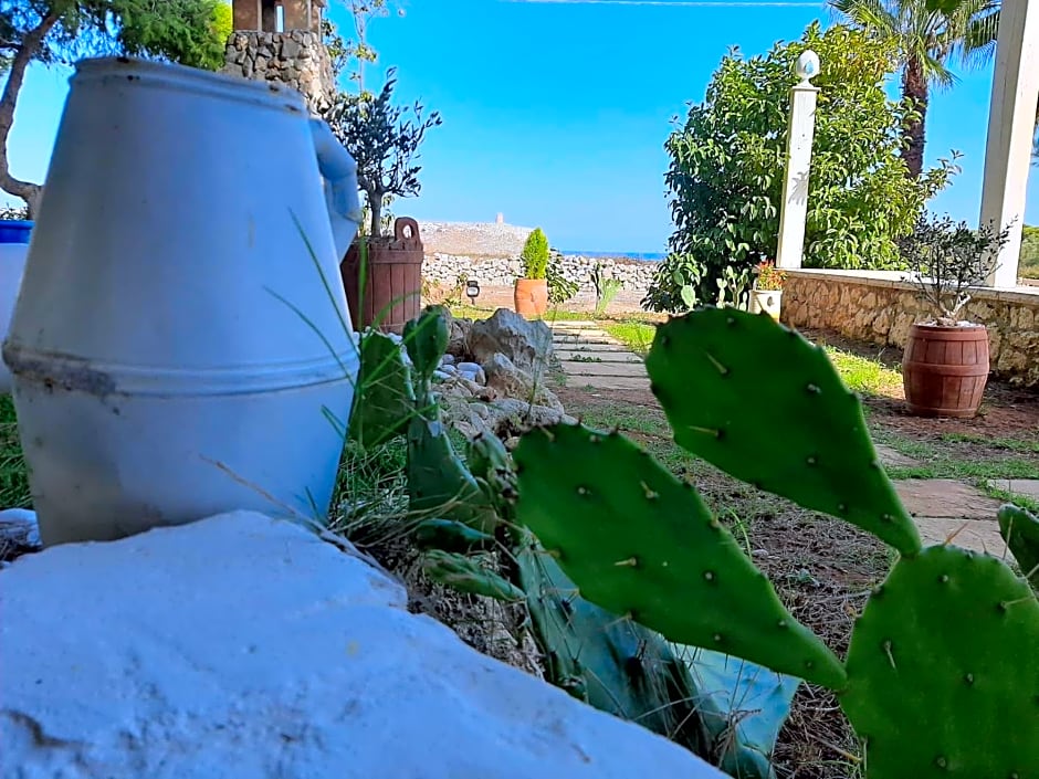 Tenuta L'Alba di monte Matino