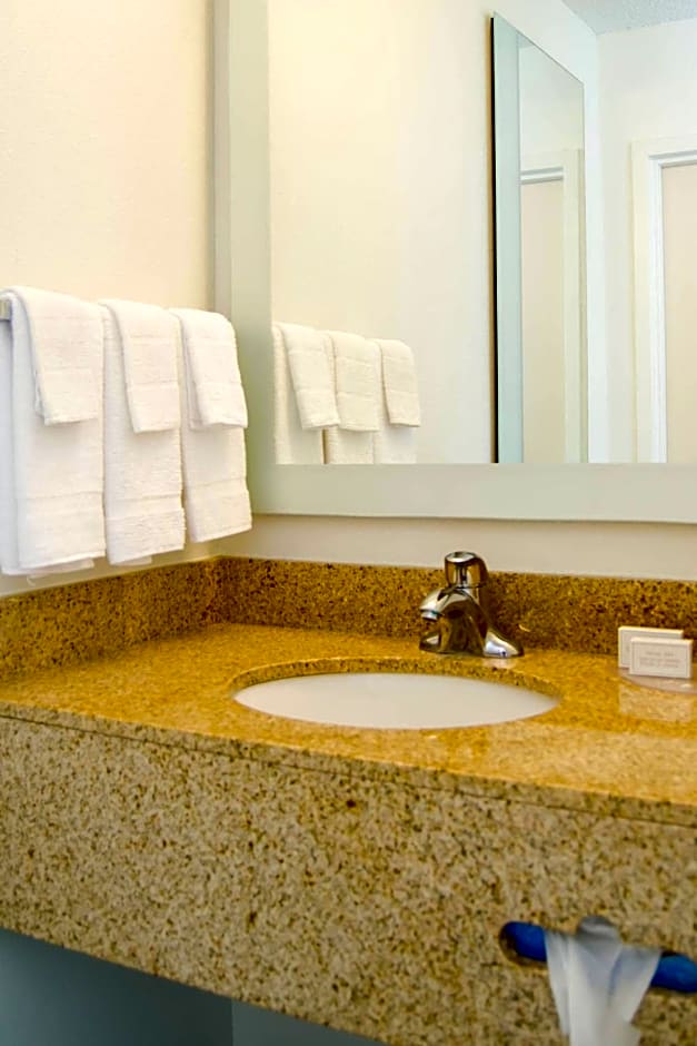 SpringHill Suites by Marriott Baton Rouge South