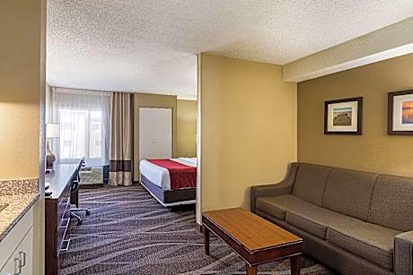 Deluxe King Room  with Sofa Bed - Non-Smoking