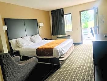 1 King Bed Non-Smoking