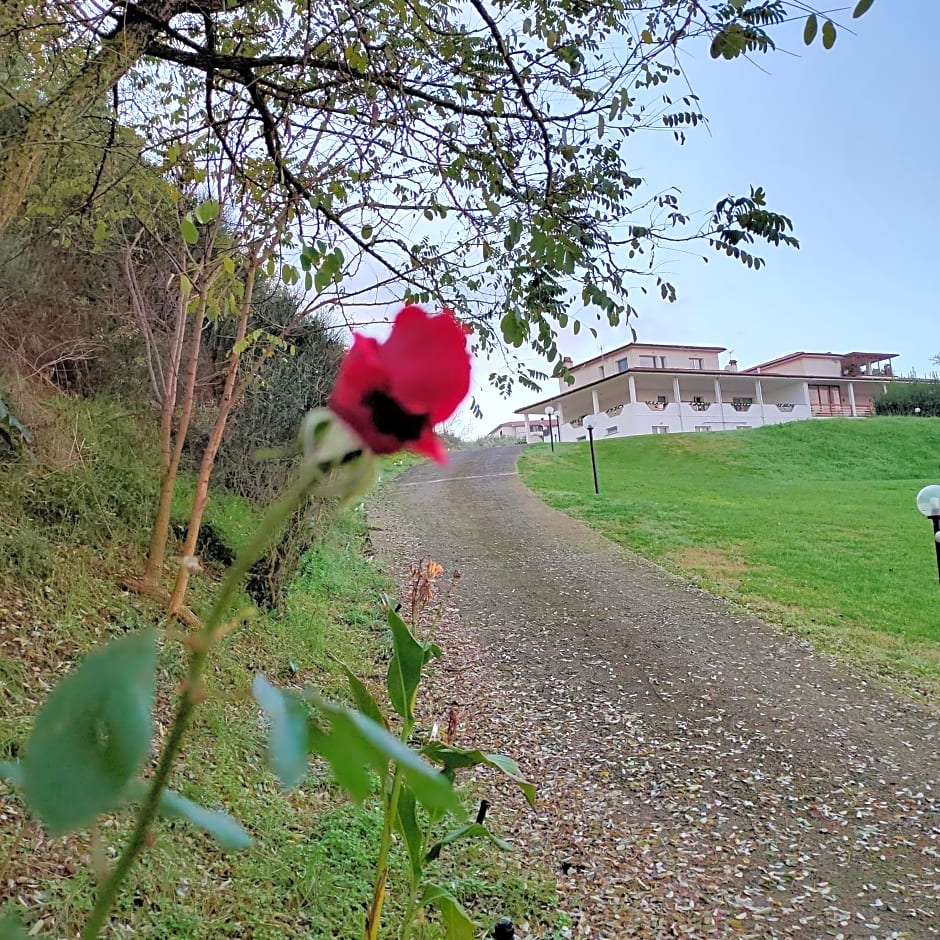 La staccionata bianca