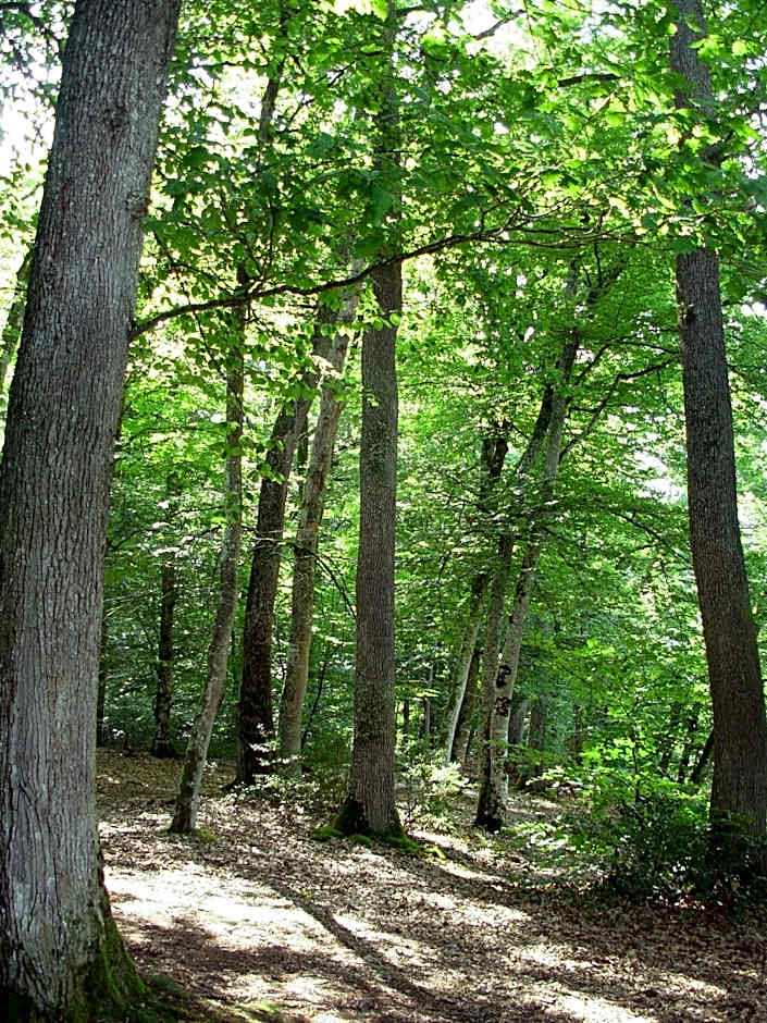 La Grange du Bourg