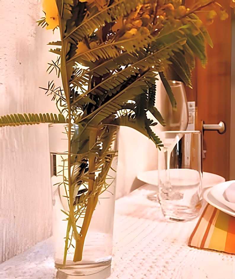 Bouganville Studio Brasília.