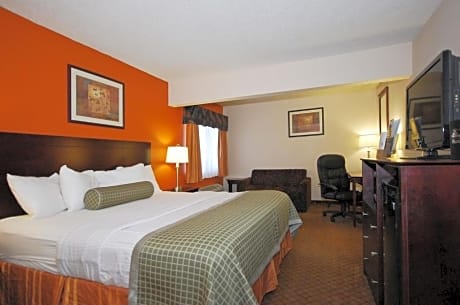 King Studio Suite with Pool View - Non-Smoking