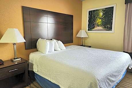 1 King Bed Non-Smoking