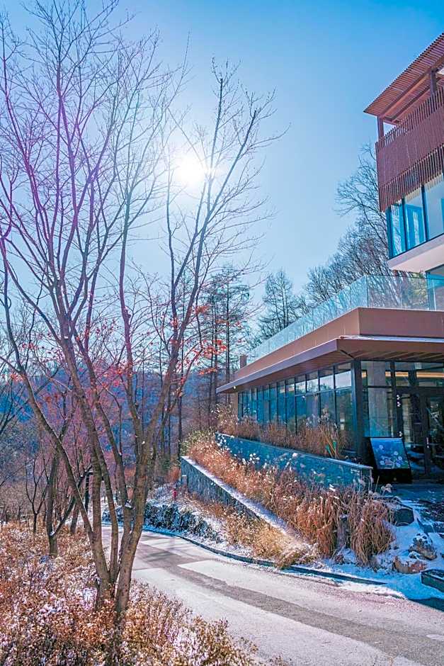 Healience Village