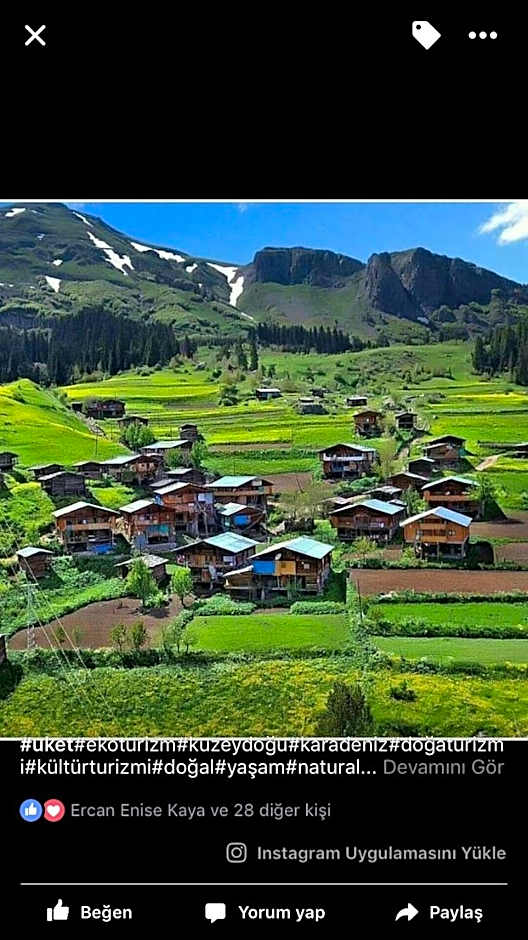 Hotel Green Valley Savsat