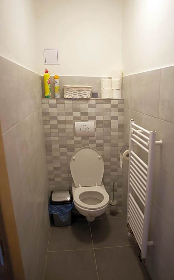 Apartmány Ve Mlejně