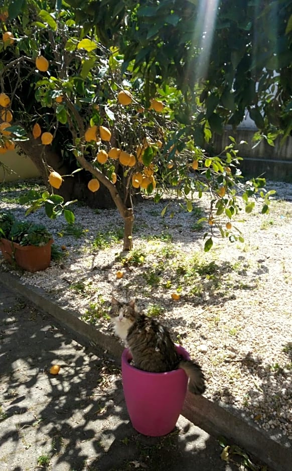 La grazia in qualche modo