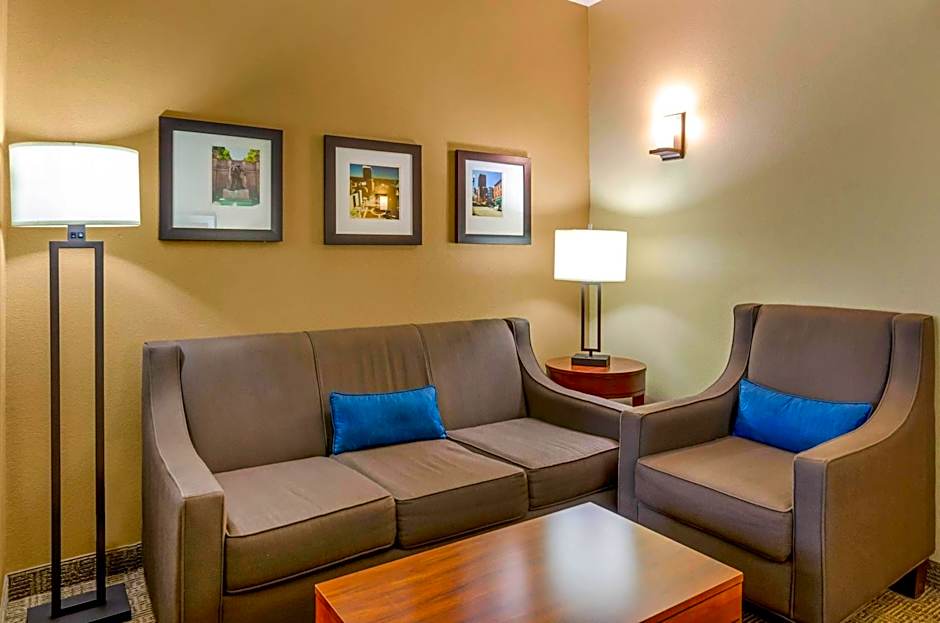 Comfort Inn & Suites Lynchburg Airport - University Area