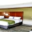 Comfort Suites West Monroe near Ike Hamilton Expo Center