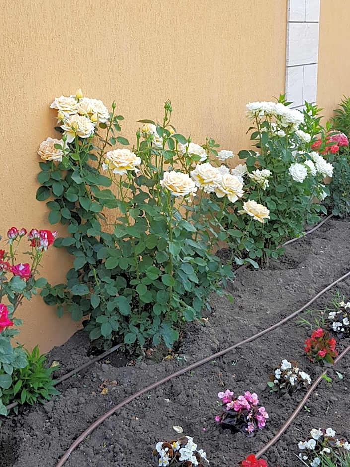 Boulevard Sea Residence