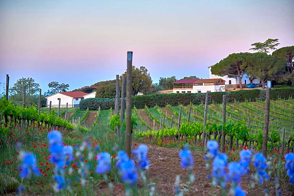 Agriturismo Tesorino