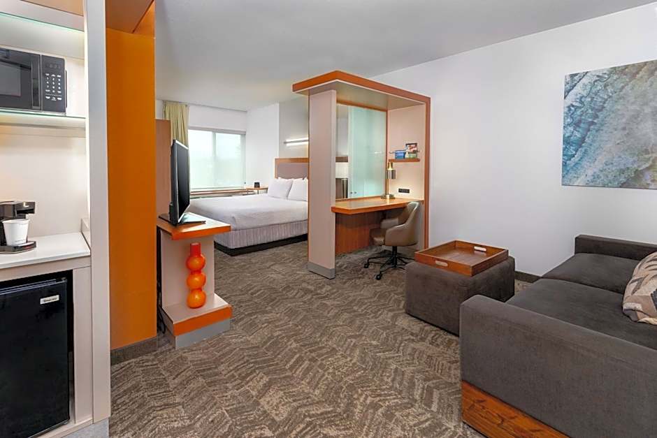 Photo 1 of 10 of Studio 1 King Bed with Sofabed