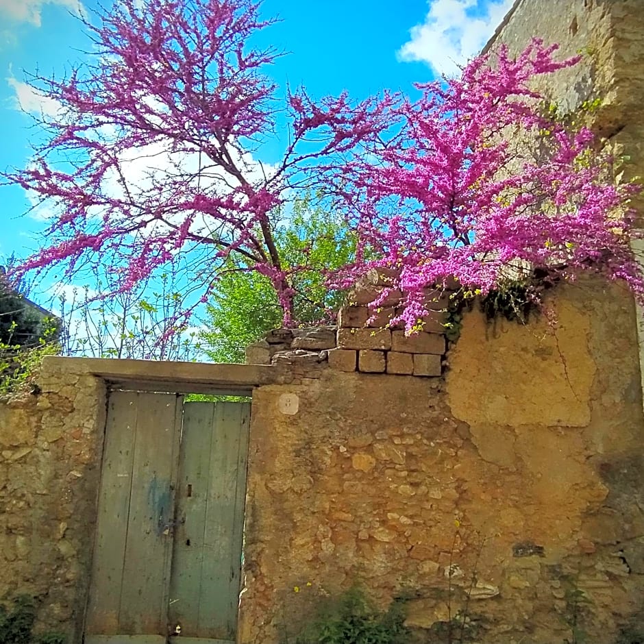 B & B Luoghi Antichi