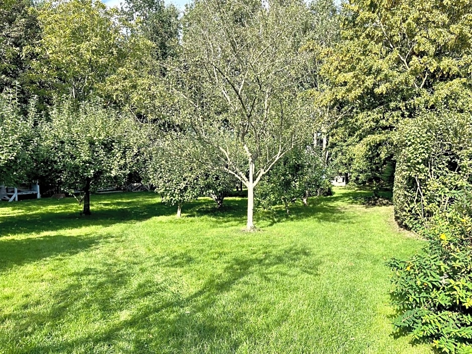 La Mésangeraie Gîte Chambres d'hôtes