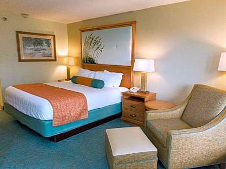 1 King Bed Accessible