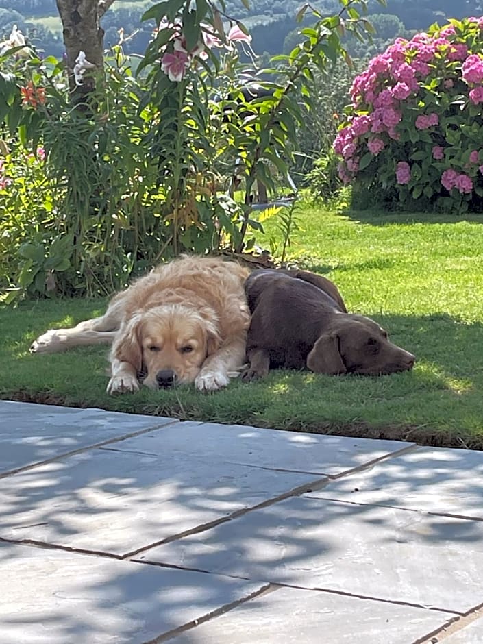 Westerley Country B & B with exclusive Guest lounge