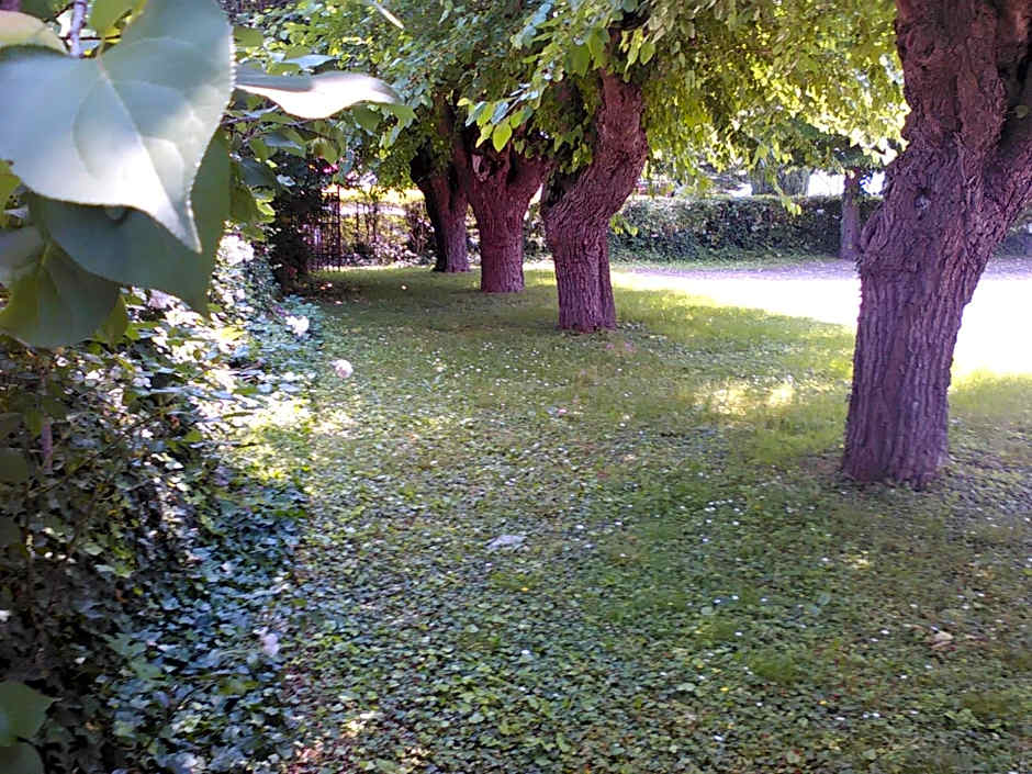 Albergo Grifone 1891