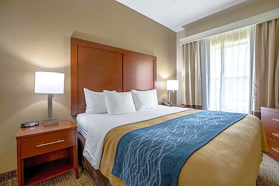 Comfort Inn Indianapolis North - Carmel