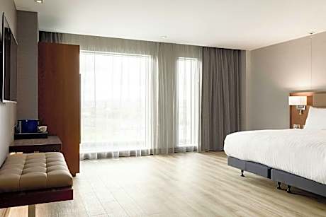 Standard Room, 1 King Bed, City View